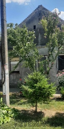 Prodajem kucu u Debeljaci-Kovacica - 4
