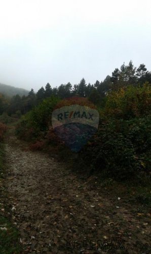 Plemenitaši poljoprivredno zemljište - 6