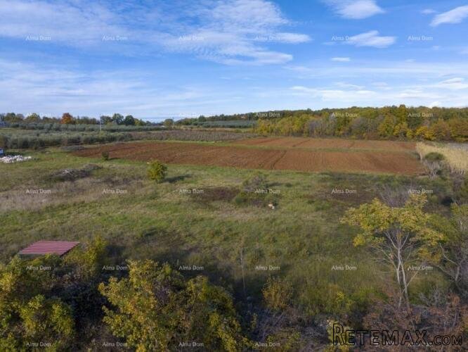 Poreč – 4 građevinske parcele (800–900 m²) na mirnoj lokaci..