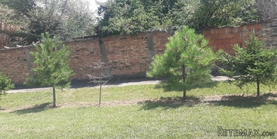 Prodajem kucu u Debeljaci-Kovacica - 10