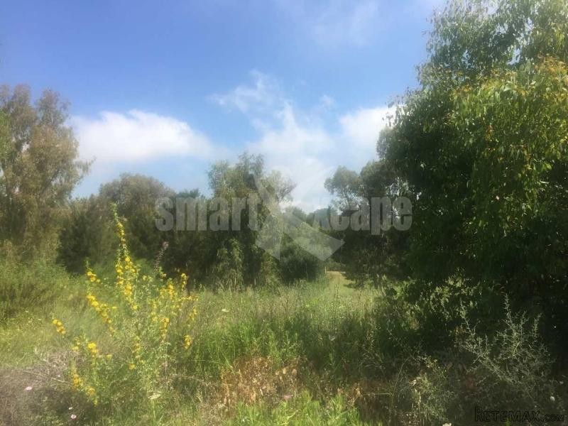 Plot/land For Sale In Sotogrande Alto.. - 2