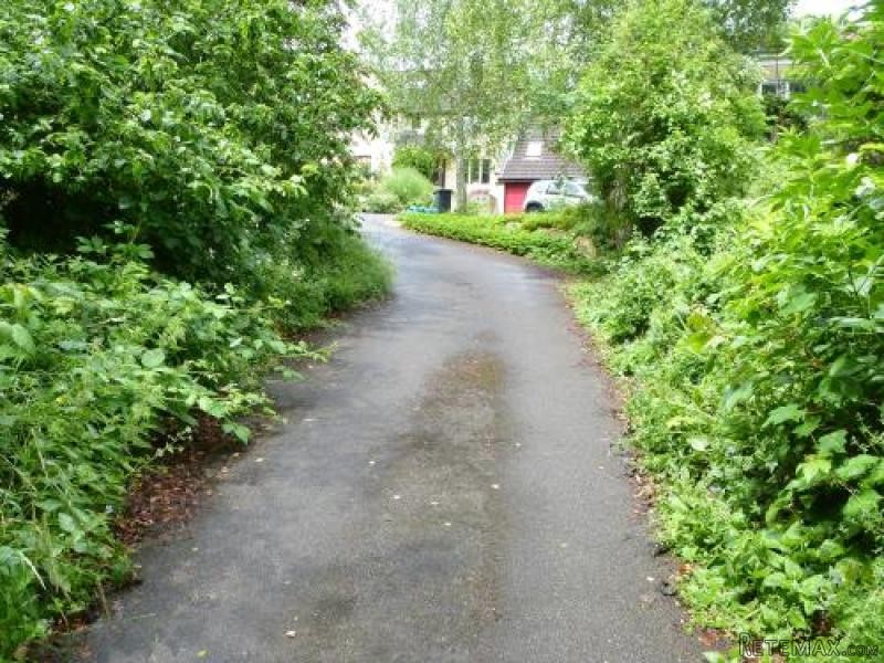 Land For Sale - 2