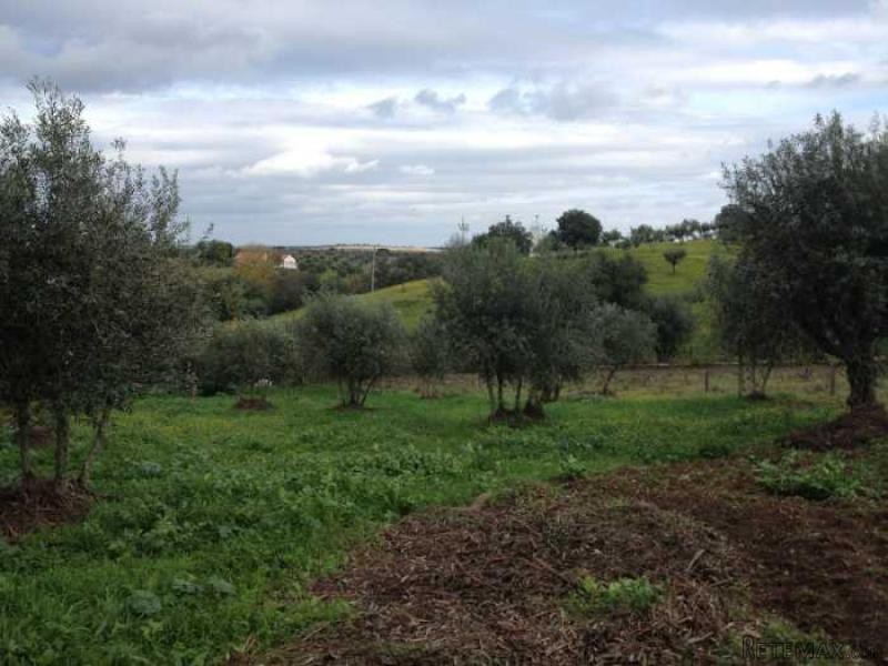 3 Bedrooms Farm For Sale - Portalegre