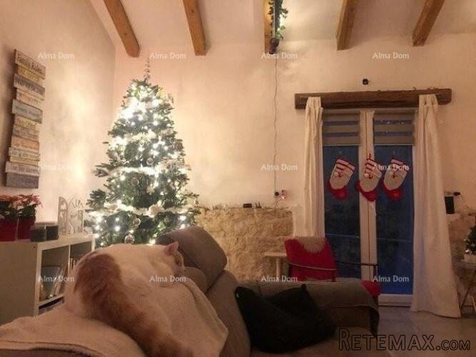 Kamena vila s dodatnim apartmanom i konobom , Sveti Lovreč