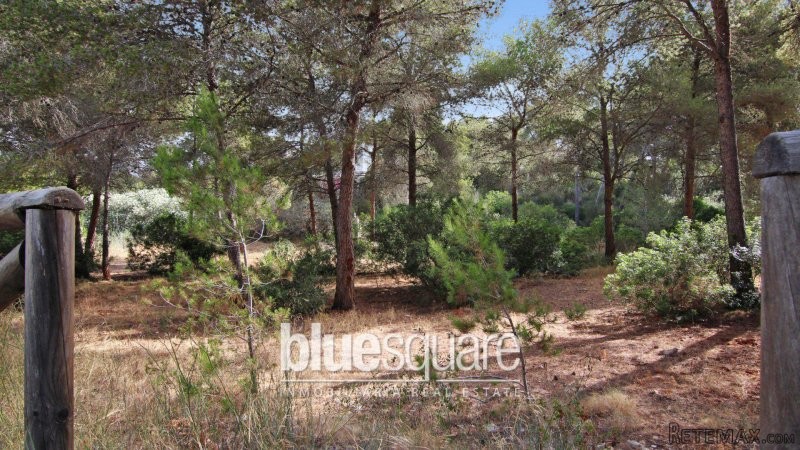 Sought after plot in excellent.. - 2