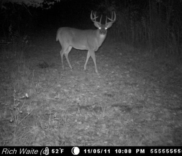Southeast Iowa land for sale! 5254.. - 2