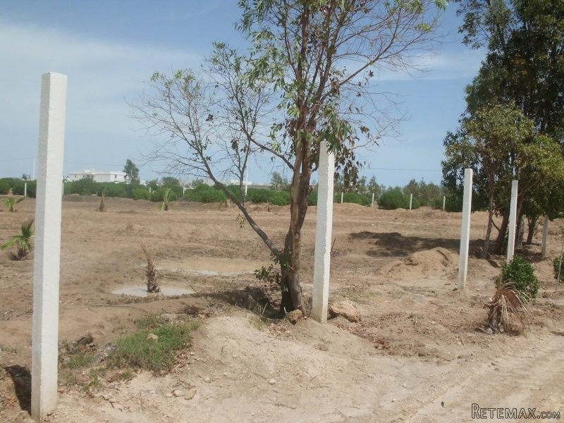 terrain loti de 233 m2 - 2
