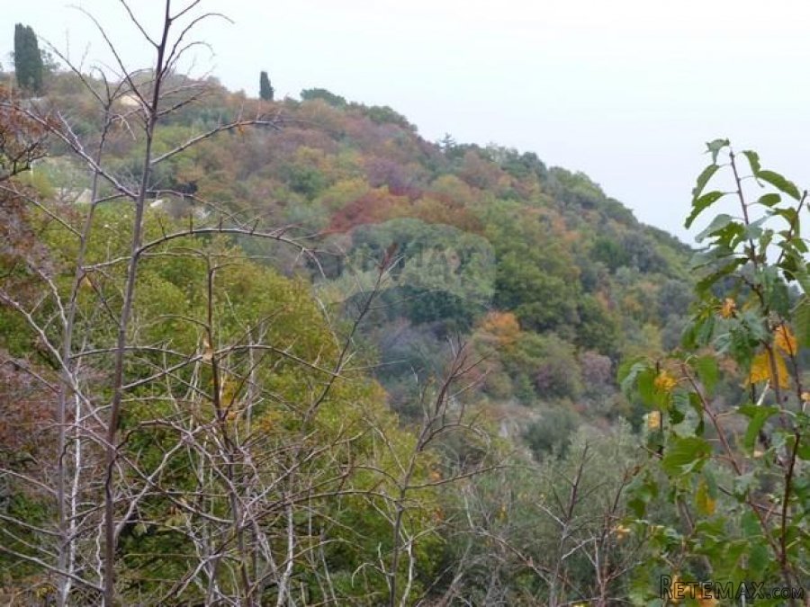 BRSEČ - 7.067 m2 - NEGRAĐEVINSKI TEREN - 2