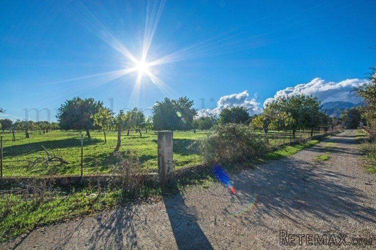 Large estate with approx. 80.000m2 of flat land with an old.. - 2