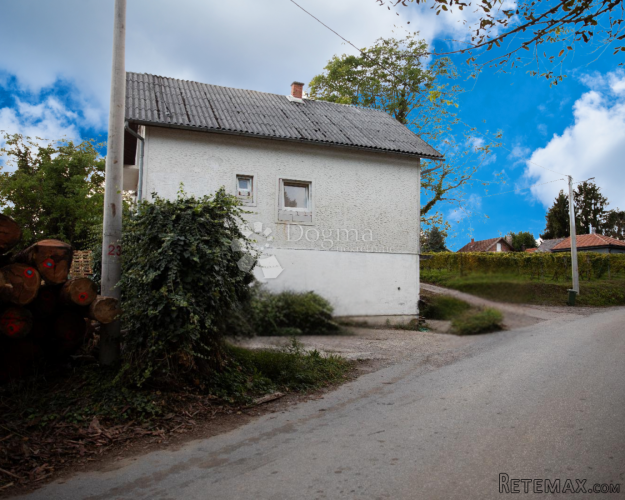 Poslovno–stambena nekretnina s halom i kućama – Kupinovac - 2