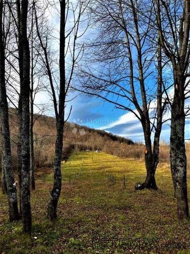 VOĆNJAK IZ SNOVA 3.812 m² – Boričevac - 2