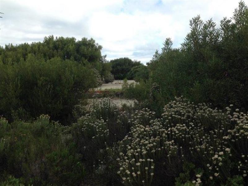 Bettys Bay Vacant Land, Bettys Bay - 2
