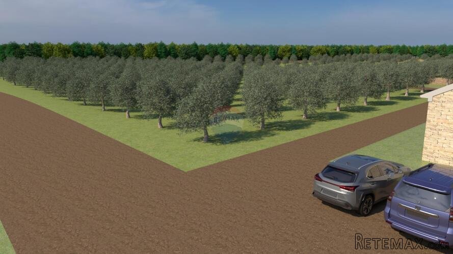 Istra, Bale, poljoprivredno zemljište od 12.200 m2 sa moguć - 3