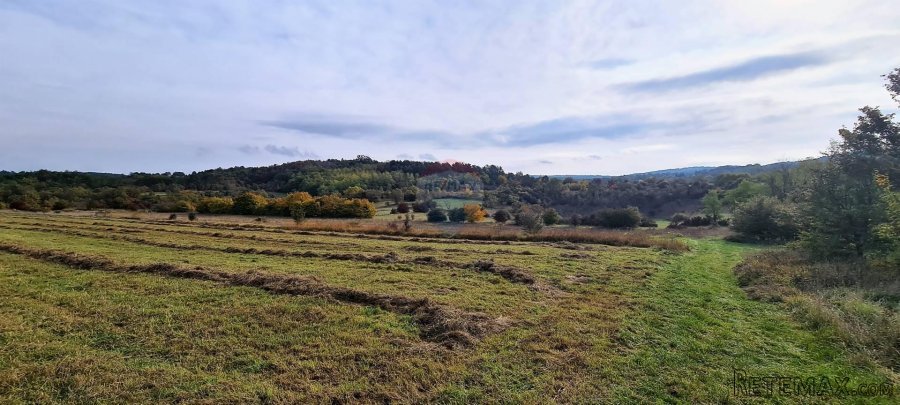 Poljoprivredno zemljište u blizini Grožnjana - 3