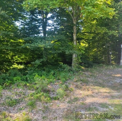 Prodajem plac na planini Goč - 3
