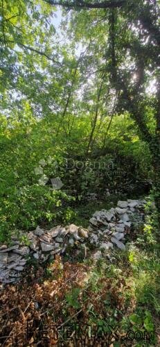 VELIKO POLJOPRIVREDNO ZEMLJIŠTE - 3