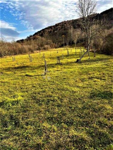 VOĆNJAK IZ SNOVA 3.812 m² – Boričevac - 3
