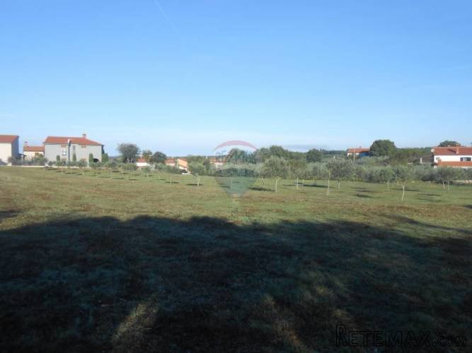 Istra, Vodnja, Galižana, velika parcela (5520 m2) na rubu... - 2