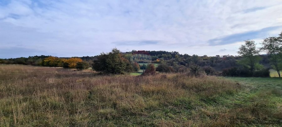 Poljoprivredno zemljište u blizini Grožnjana - 6