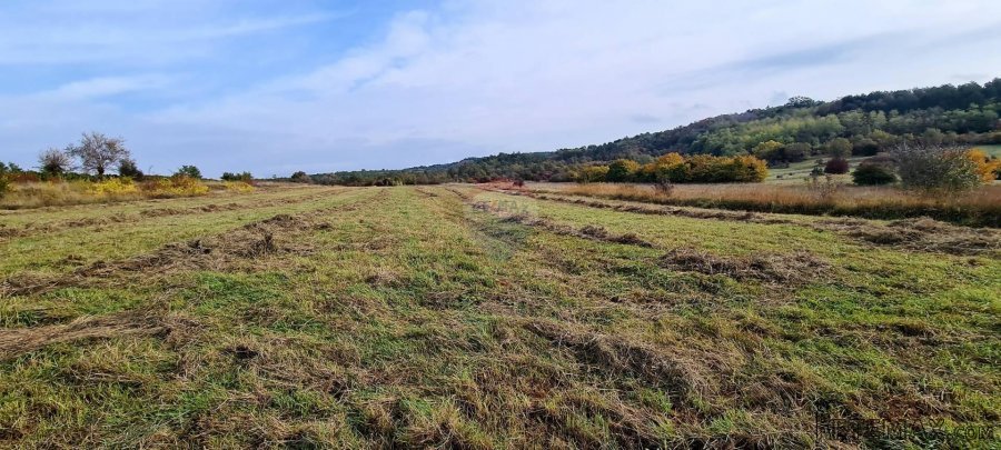 Poljoprivredno zemljište u blizini Grožnjana - 8