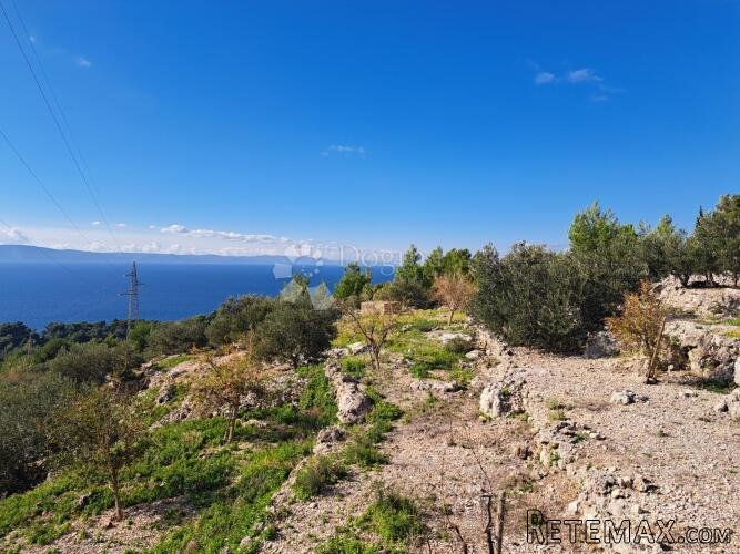 Uređeni maslinik s predivnim pogledom – 896 m², Podgora - 2