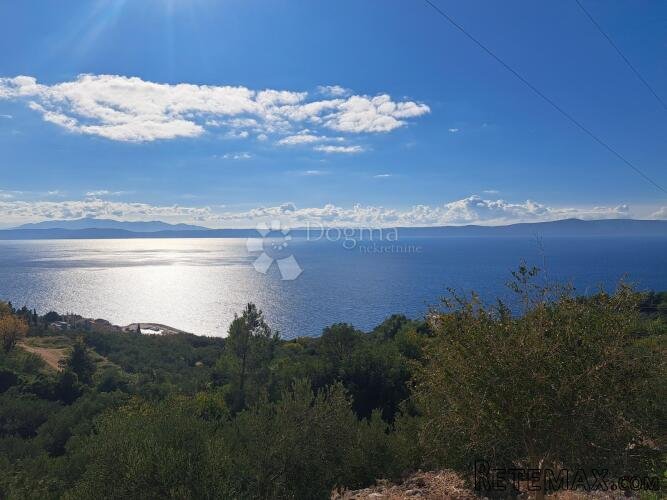 Uređeni maslinik s predivnim pogledom – 896 m², Podgora - 3