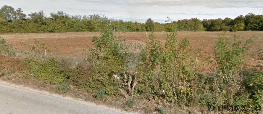 Istra,Marčana zemljište 10 013m2 - 3