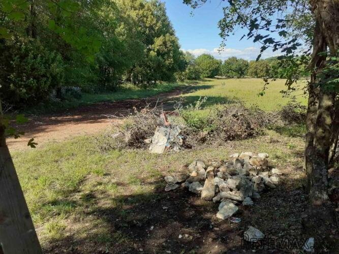 Istra, Šajini, uređeno i ograđeno zemljište površine 4888 m2 - 2