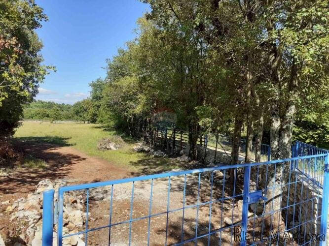 Istra, Šajini, uređeno i ograđeno zemljište površine 4888 m2 - 3