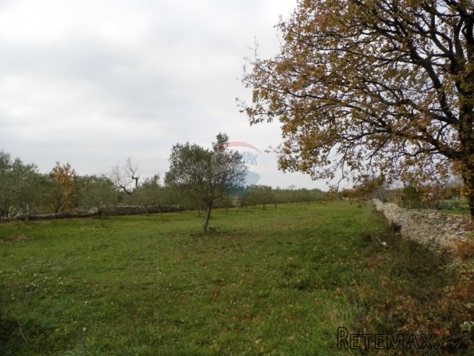 GRAĐEVINSKO ZEMLJIŠTE U MIRNOM MJESTU U OKOLICI VODNJANA - 4