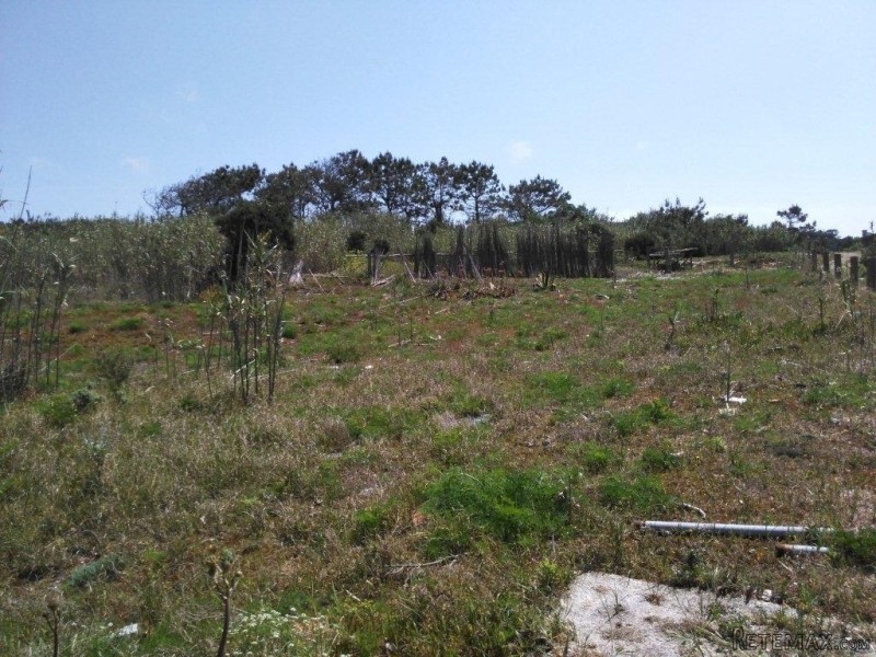 Land to build on the beach.