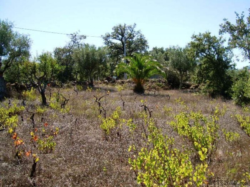 Rustic Land Plot Near The Small Town Of..