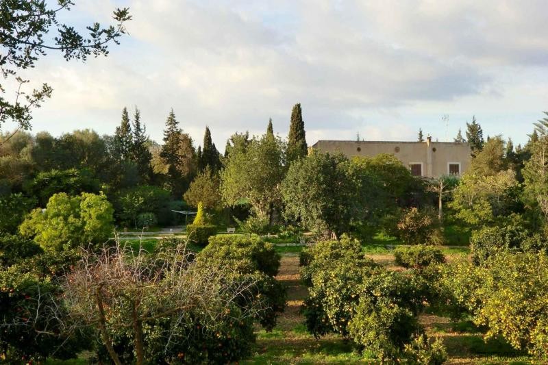 Country house with magnificent garden..