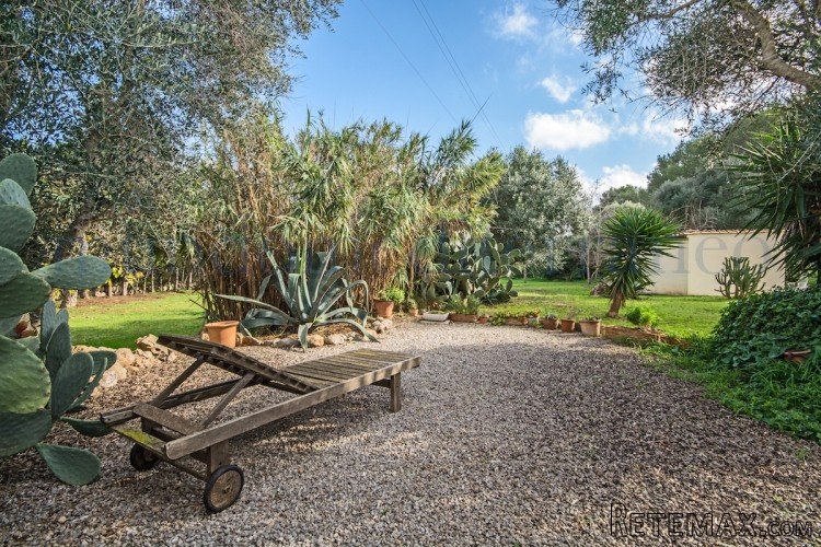 Charmful and lovely old finca, partly renovated by actual.. - 5