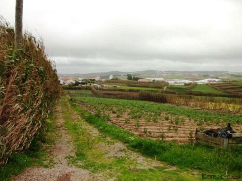 Land , Torres Vedras