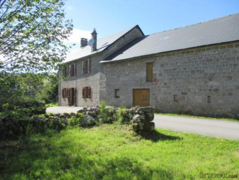 Lovely House in Lovely Grounds - 2