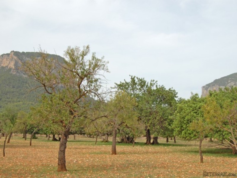 Plot In Superb Location With Mountain..