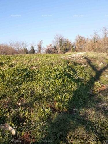 Prodaje se zemljište u Brtonigli (Istra) –građevinsko i po..