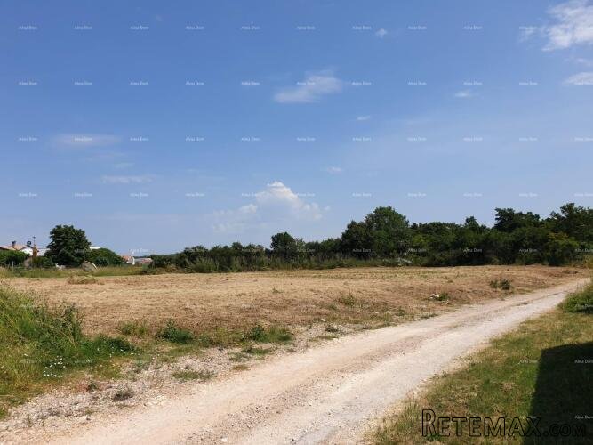 Prostrana građevinska parcela od 1700 m² u Šišanu - idealna..