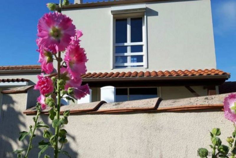 3 Bedroom House on Atlantic Island