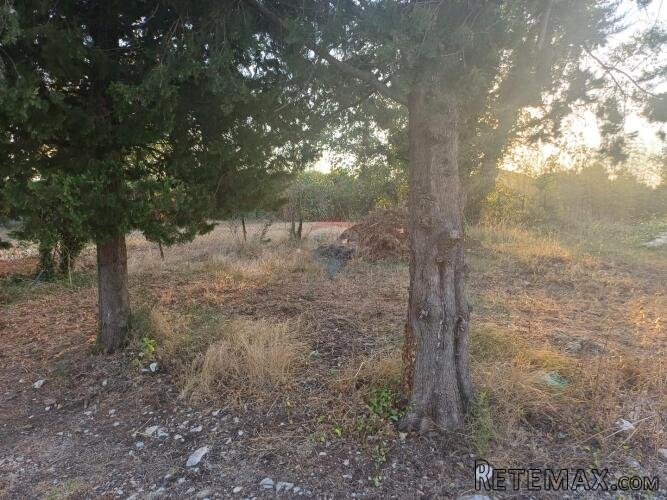 Istra, Šegotići, građevinsko zemljište 370 m2 - 3