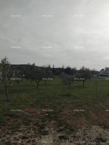 Atraktivno zemljište, 5.716 m²,okolica Poreča - 2