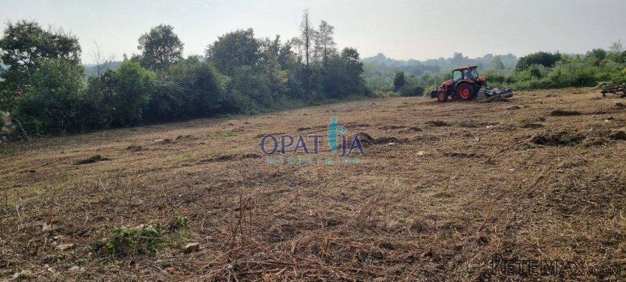 Lijepa građevinska parcela u blizini centra Brtonigle ! - 2