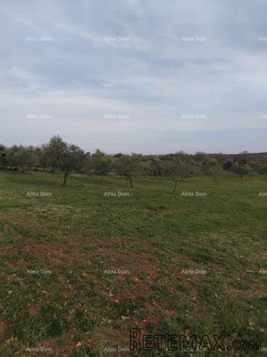 Atraktivno zemljište, 5.716 m²,okolica Poreča - 3