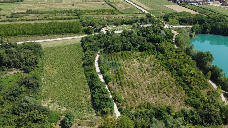 Velika Gorica, Vukovina, zemljište 6.481 m2, plantaža crnog - 2