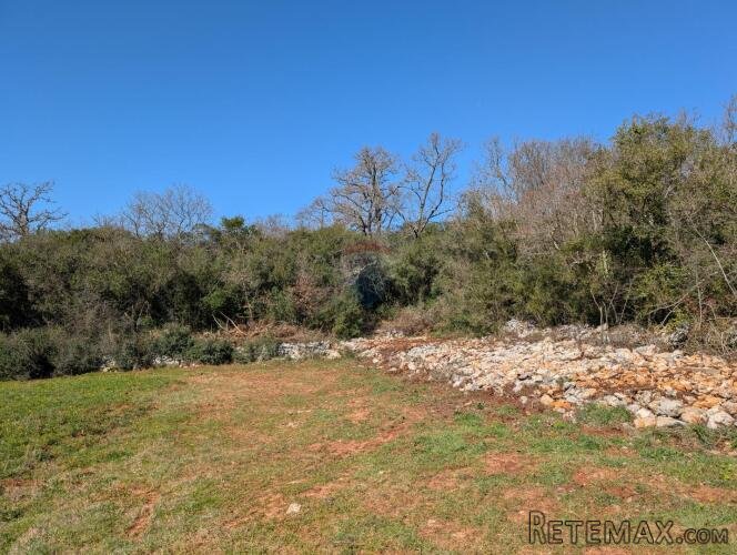 Istra, Rovinj - šuma 7400 m2 - 2