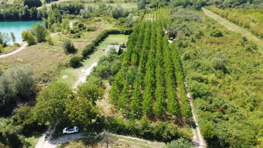 Velika Gorica, Vukovina, zemljište 8.103 m2, plantaža crnog - 2