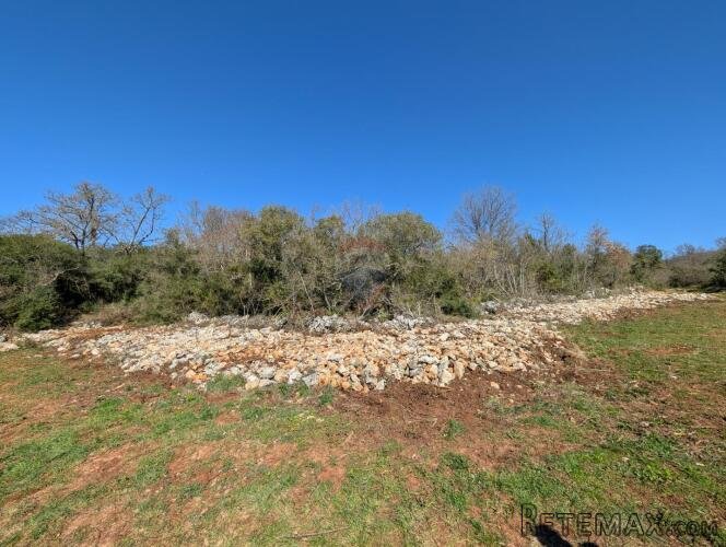 Istra, Rovinj - šuma 7400 m2 - 3