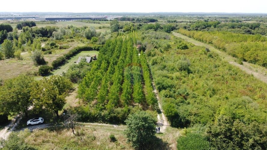 Velika Gorica, Vukovina, zemljište 8.103 m2, plantaža crnog - 3