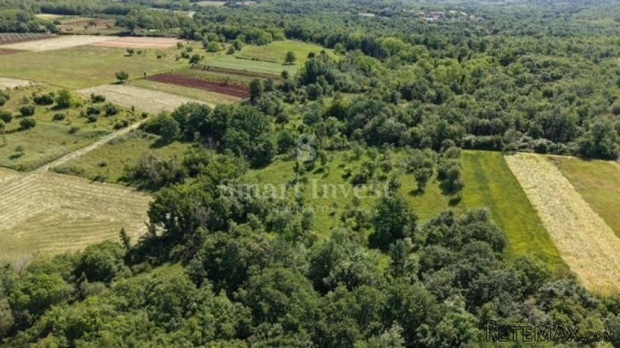 VIŠNJAN - ŽUŽIĆI, poljoprivredno zemljište od 5694 m2